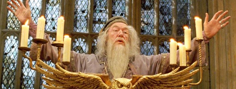 Fichier:Harry-potter-dumb.jpg