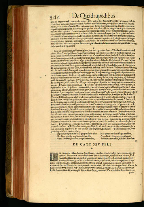 Historia animalium Gessner Unistra page 388.jpg