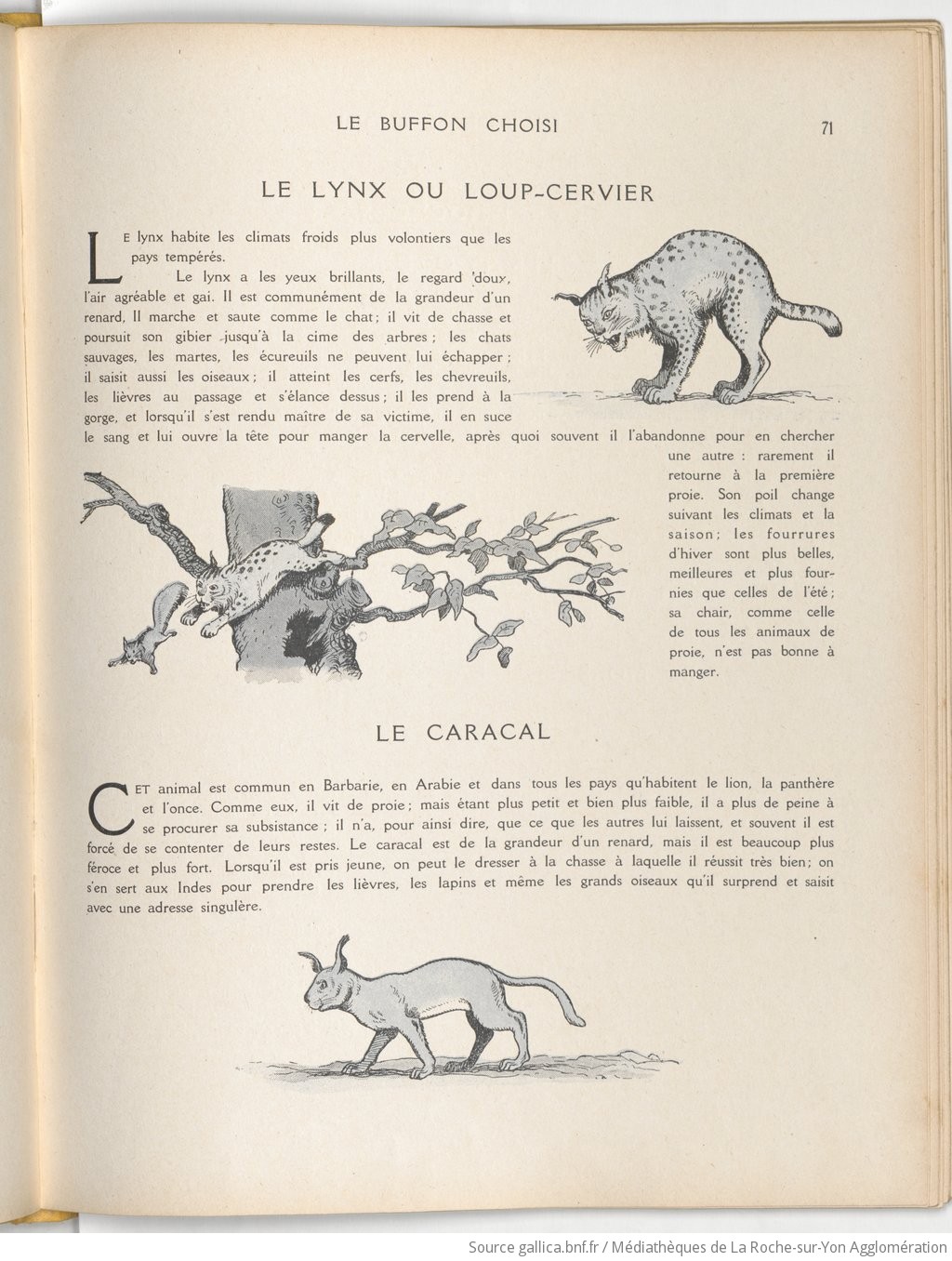 Le Buffon choisi de Benjamin Rabier, page f79.jpg