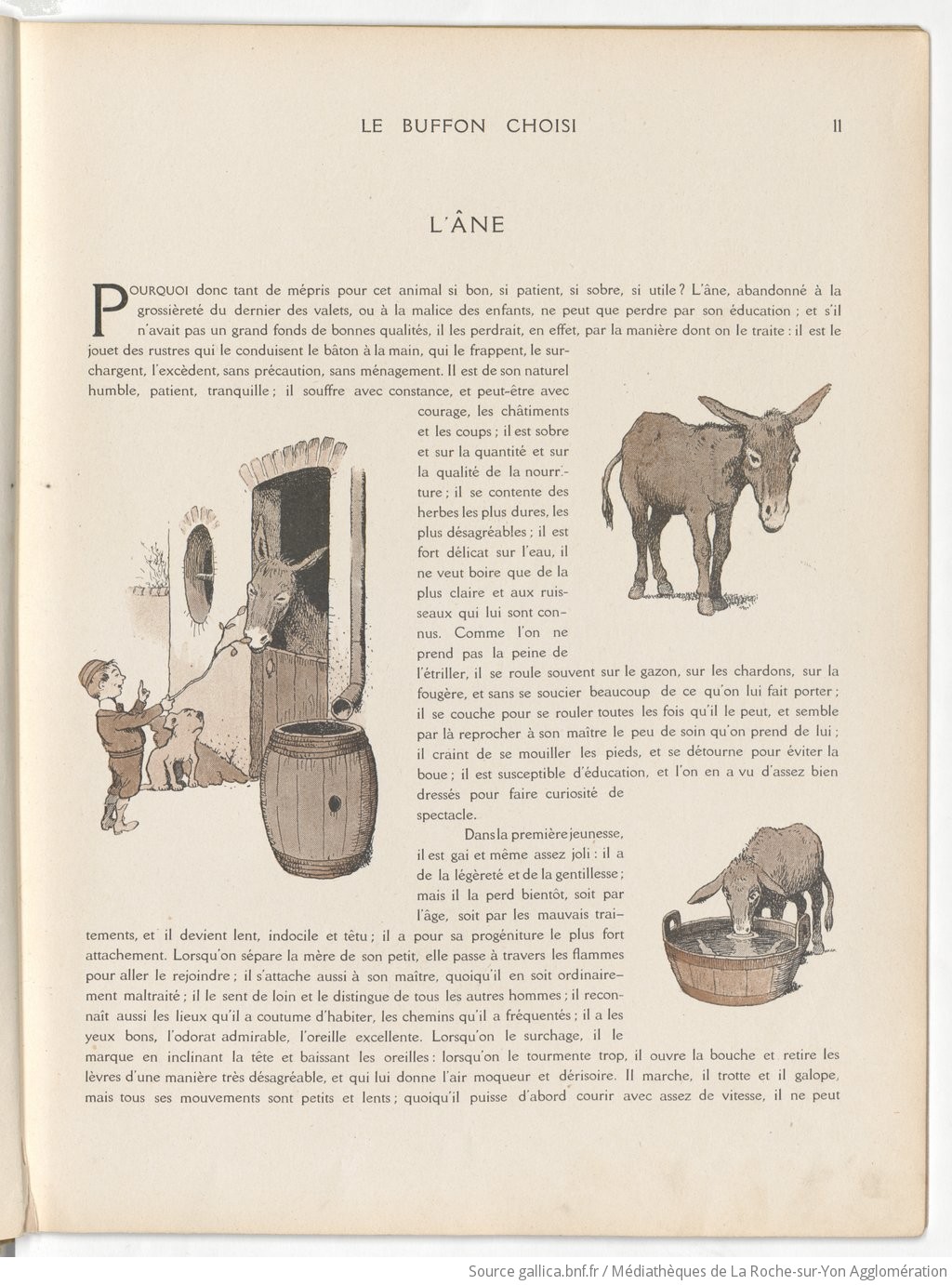Le Buffon choisi de Benjamin Rabier, page f19.jpg