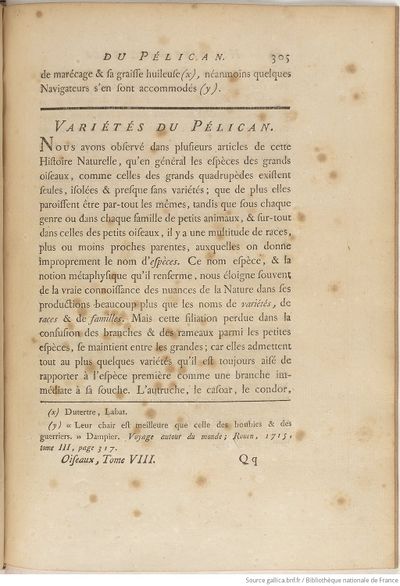 Buffon Hist Nat E.O. Tome 23 f375.jpg