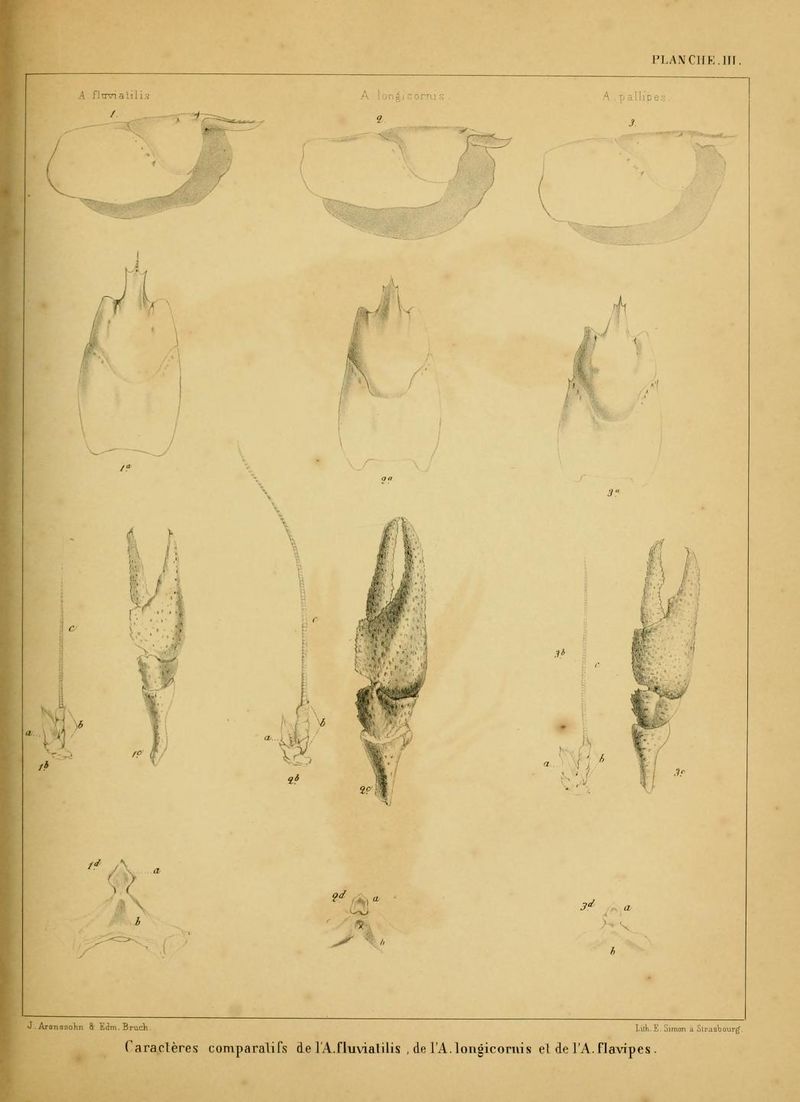 ALS Mémoires 1858 page 227.jpg