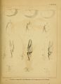 ALS Mémoires 1858 page 227.jpg