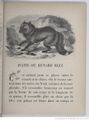 Alphabet illustré des animaux (1862) Doudet f33.jpg