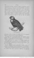 Buffon illustré de la jeunesse - 1893 Gallica page f196.jpg