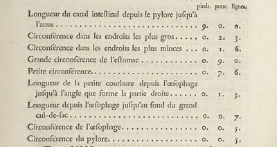 Buffon Hist Nat Tome VIII Coati tableau 2.1 .jpg