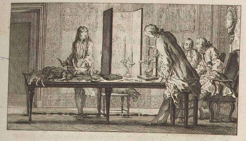 Buffon Hist Nat tome 2 image page 2.jpg