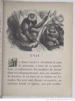 Alphabet illustré des animaux (1862) Doudet f57.jpg