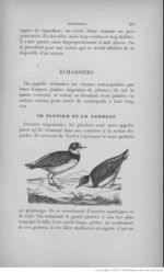 Buffon illustré de la jeunesse - 1893 Gallica page f209.jpg