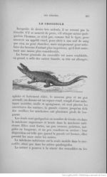 Buffon illustré de la jeunesse - 1893 Gallica page f235.jpg