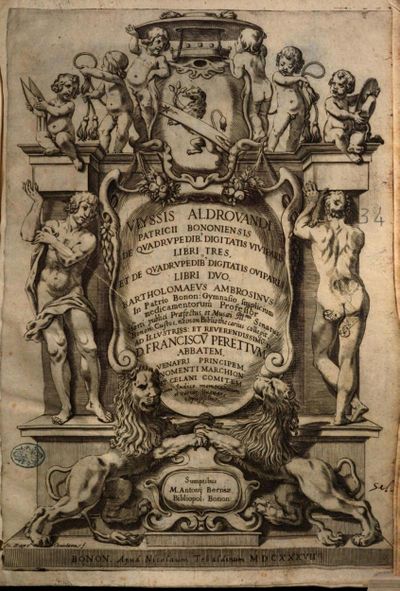 De quadrupedibus digitatis (1649) Aldrovandi IA page n2.jpg