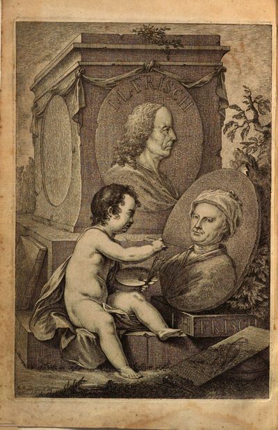 Frisch, Johann Leonhard- Vorstellung der Vögel in Teutschland MDZ page 6.jpg