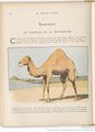 Le Buffon choisi de Benjamin Rabier, page f116.jpg