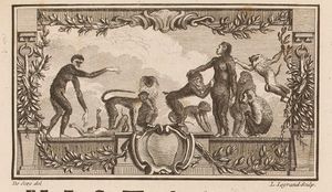 Buffon Hist Nat Tome XIV image page 17.jpg