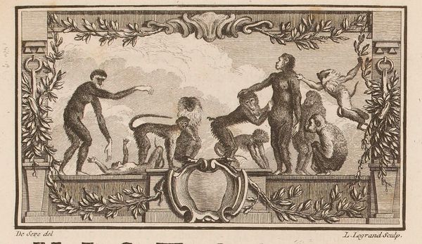Buffon Hist Nat Tome XIV image page 17.jpg