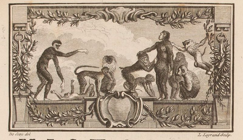 Buffon Hist Nat Tome XIV image page 17.jpg