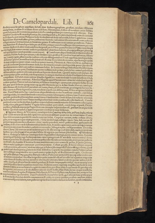 Historia animalium Gessner 1551 BHL Getty page 203.jpg