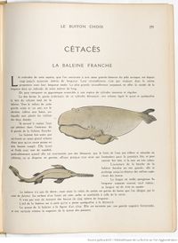 Le Buffon choisi de Benjamin Rabier, page f263.jpg