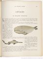 Le Buffon choisi de Benjamin Rabier, page f263.jpg