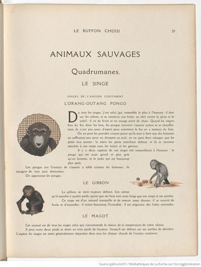 Le Buffon choisi de Benjamin Rabier, page f43.jpg