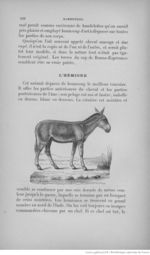 Buffon illustré de la jeunesse - 1893 Gallica page f116.jpg