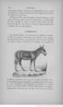 Buffon illustré de la jeunesse - 1893 Gallica page f116.jpg