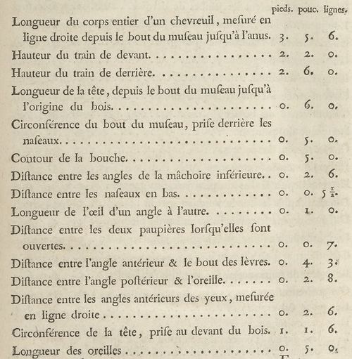 Daubenton Description Daim tableau 1.1.jpg