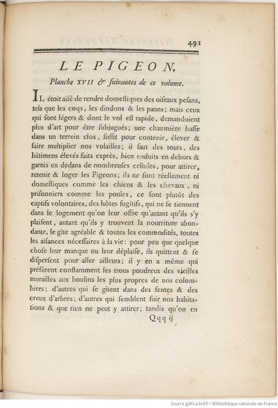 Buffon Hist Nat E.O. Tome 17 f541.jpg