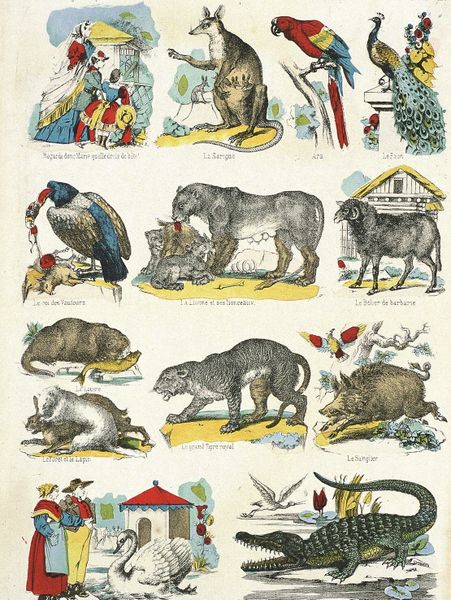 Fichier:Les-animaux-du-jardin-des-plantes-vers-1865-pinot-amp-sagaire-epinal-coll-musee-de-l-image-depot-mdaac-musee-de-l-image-ville-d-epinal-cliche-h-rouyer-1470503477.jpg