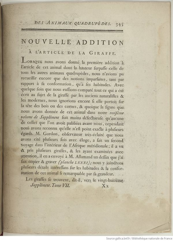 Buffon Hist Nat E.O. Tome 36 f539.jpg