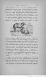 Buffon illustré de la jeunesse - 1893 Gallica page f21.jpg