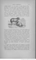 Buffon illustré de la jeunesse - 1893 Gallica page f21.jpg