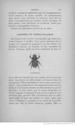 Buffon illustré de la jeunesse - 1893 Gallica page f283.jpg