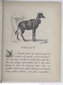 Alphabet illustré des animaux (1862) Doudet f43.jpg