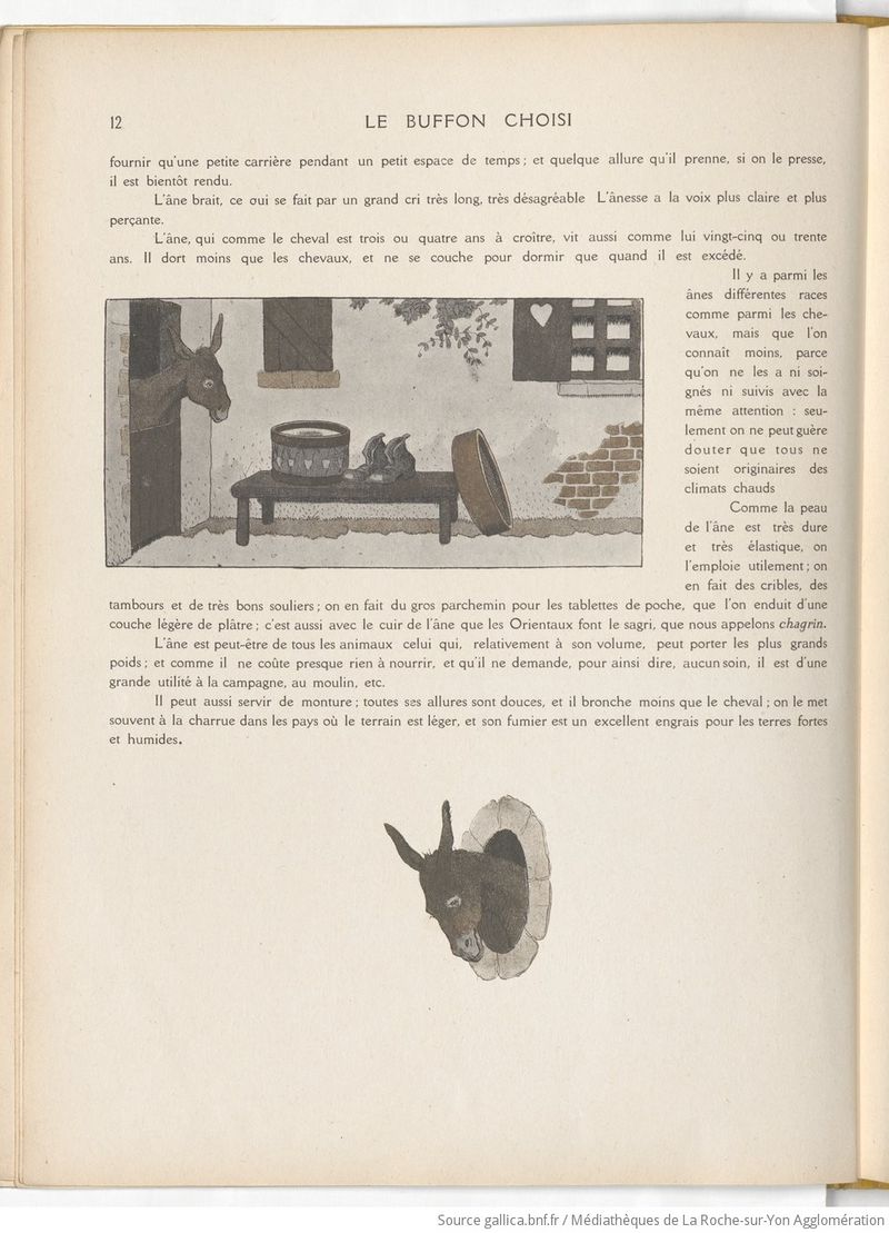 Le Buffon choisi de Benjamin Rabier, page f20.jpg