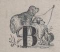 Alphabet Doudet Quincajou lettrine.jpg