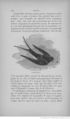 Buffon illustré de la jeunesse - 1893 Gallica page f190.jpg