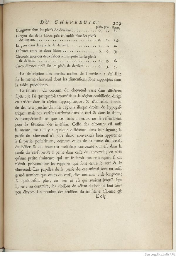 Buffon Hist Nat E.O. Tome 6 f295.jpg