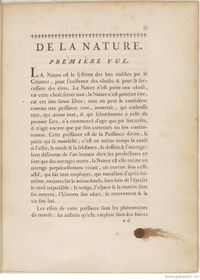 Buffon Hist Nat E.O. Tome 12 f19.jpg
