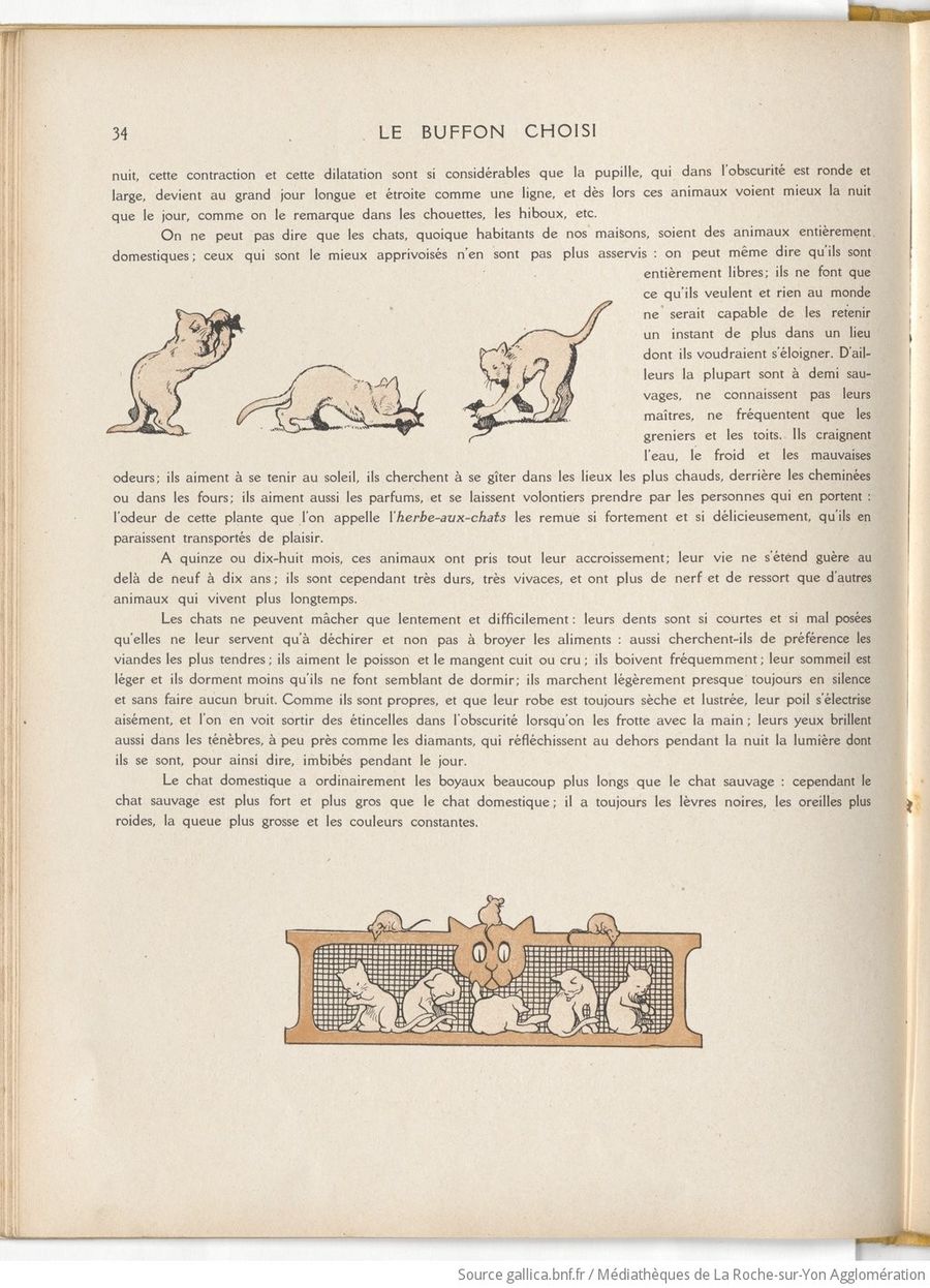 Le Buffon choisi de Benjamin Rabier, page f42.jpg