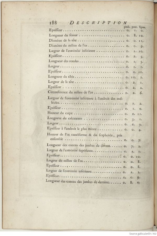 Buffon Hist Nat E.O. Tome 6 f254.jpg