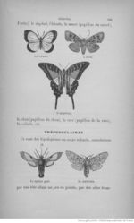 Buffon illustré de la jeunesse - 1893 Gallica page f307.jpg