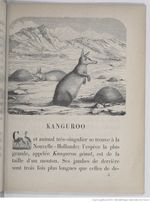 Alphabet illustré des animaux (1862) Doudet f37.jpg