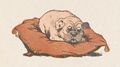 Buffon Rabier Chien image 6.jpg