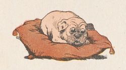Buffon Rabier Chien image 6.jpg