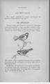 Buffon illustré de la jeunesse - 1893 Gallica page f183.jpg
