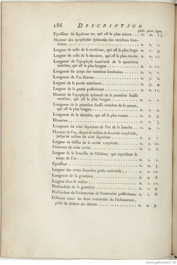 Buffon Hist Nat E.O. Tome 6 f252.jpg