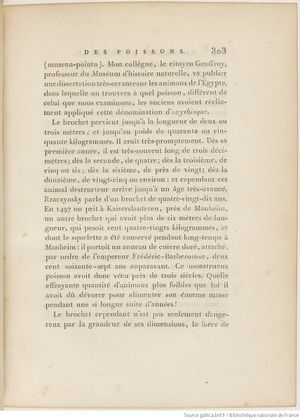 Buffon Hist Nat E.O. Tome P5 f393.jpg