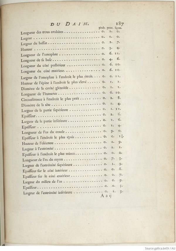 Buffon Hist Nat E.O. Tome 6 f253.jpg