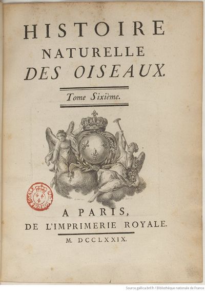 Buffon Hist Nat E.O. Tome 21 f13.jpg